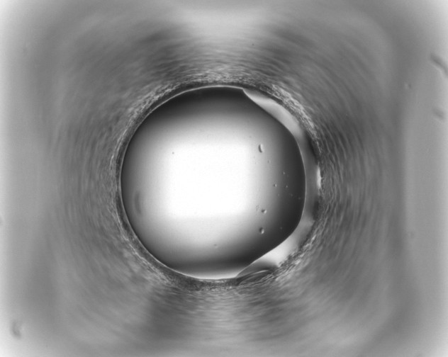 X0000093760673200710301145