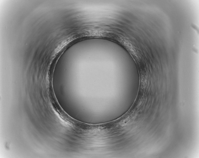 X0000093760674200710301145