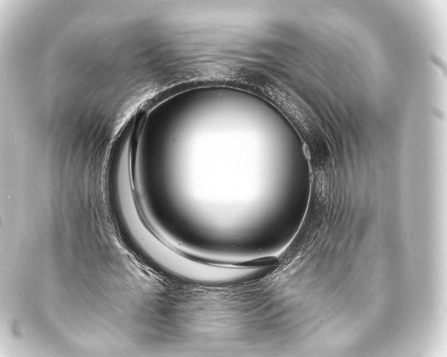 X0000093760676200710301145