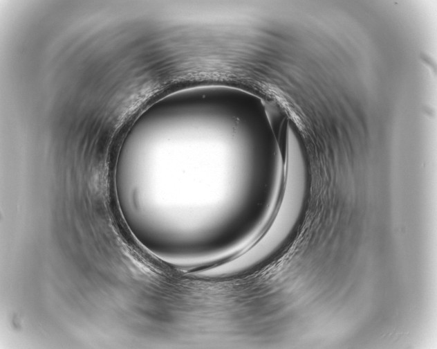 X0000093760677200710301145