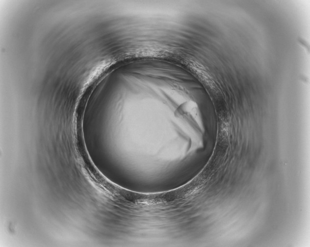 X0000093760678200710301145