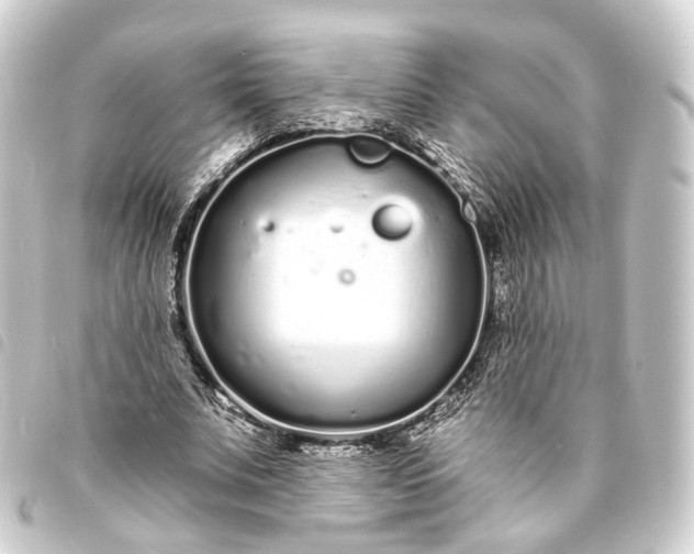 X0000093760679200710301145