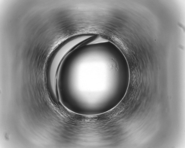 X0000093760680200710301145