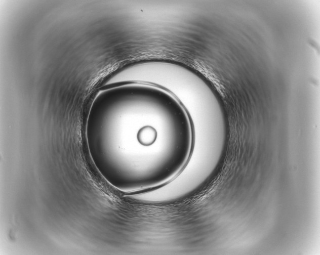 X0000093760681200710301145