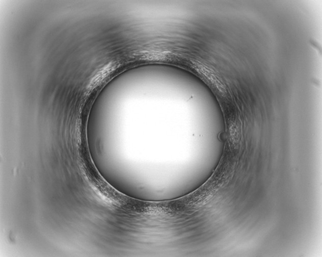 X0000093760682200710301145