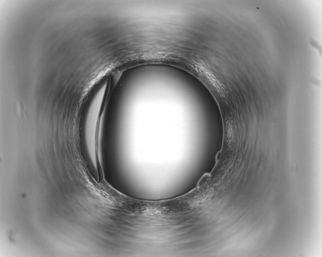 X0000093760684200710301145