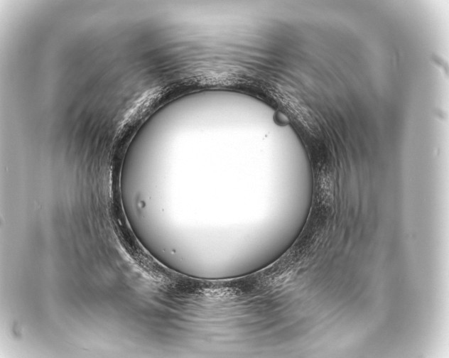 X0000093760686200710301145