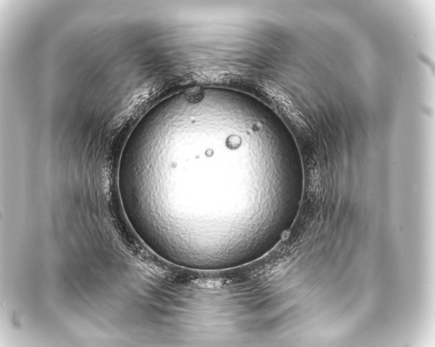 X0000093760687200710301145