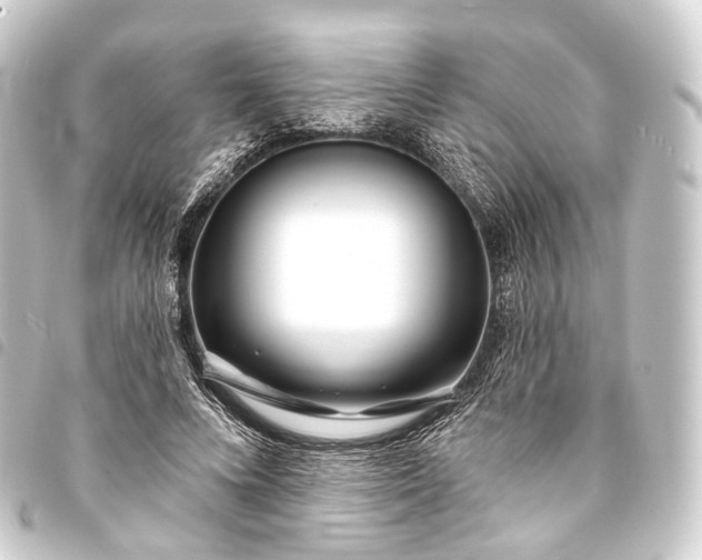 X0000093760688200710301145