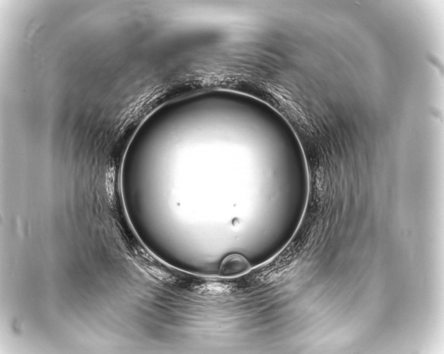 X0000093760691200710301145