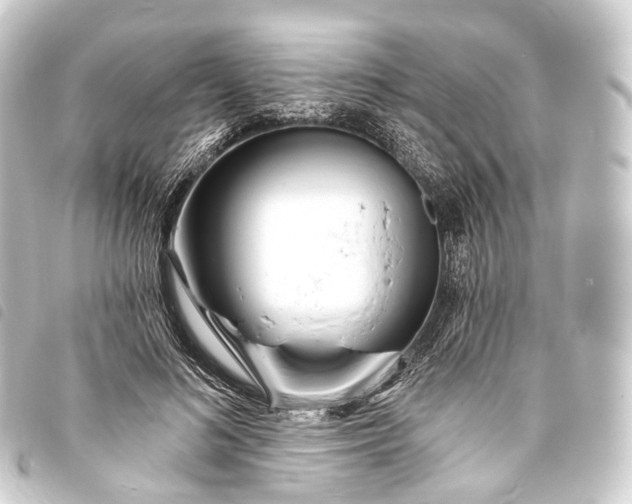 X0000093760692200710301145