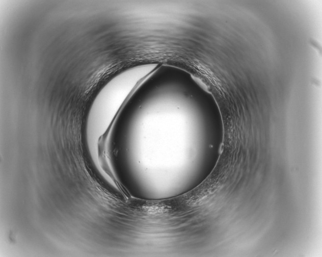 X0000093760693200710301145