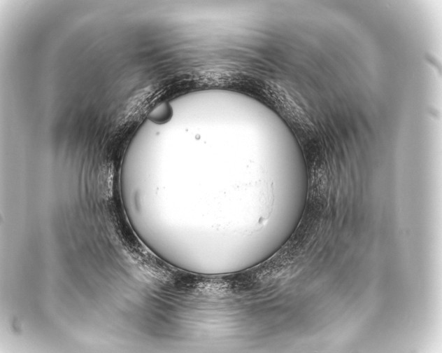 X0000093760694200710301145