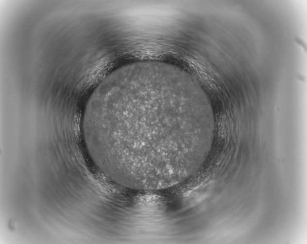 X0000093760695200710301144