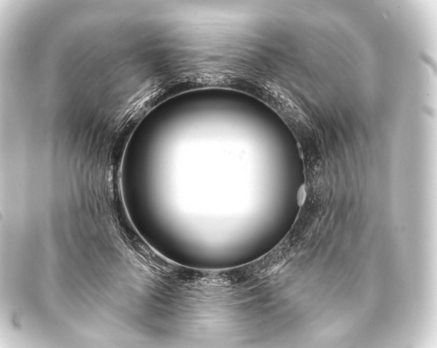 X0000093760696200710301144