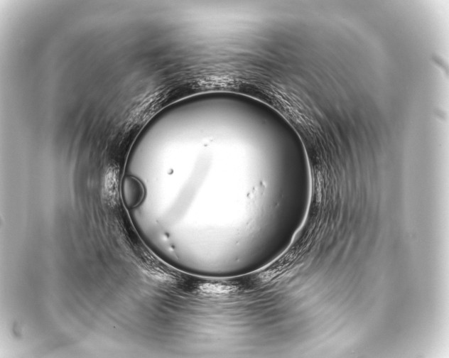 X0000093760699200710301144