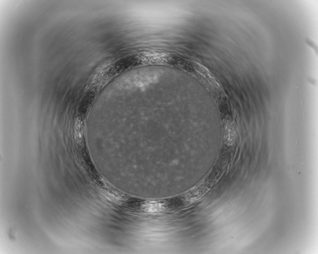 X0000093760701200710301144