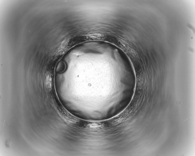 X0000093760703200710301144