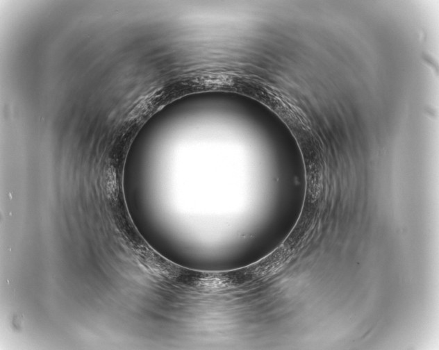 X0000093760704200710301144