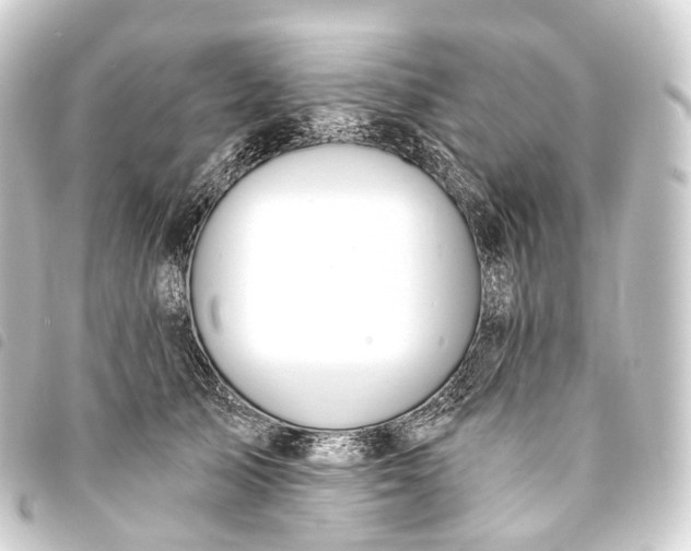 X0000093760705200710301144