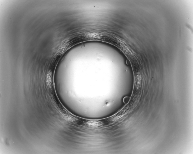 X0000093760707200710301144