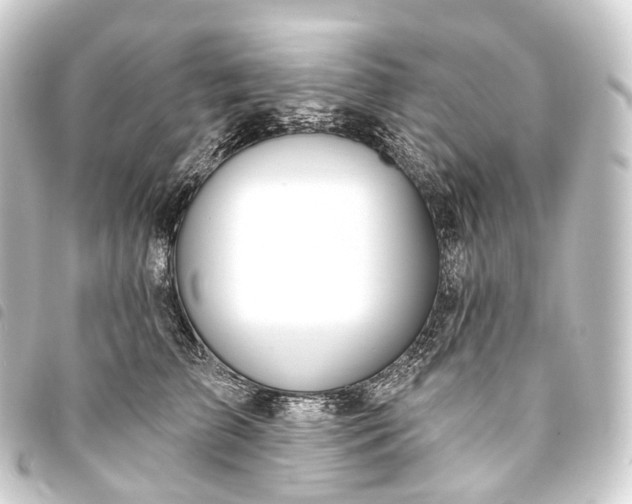 X0000093760709200710301144