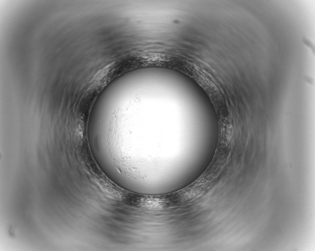 X0000093760710200710301144