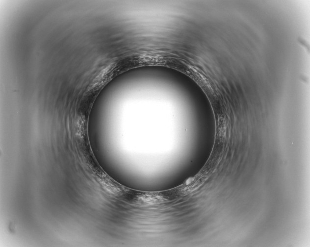 X0000093760712200710301144