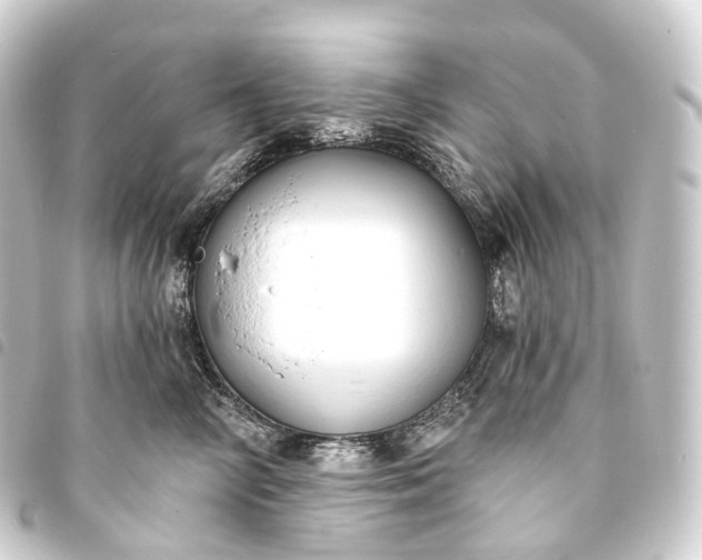 X0000093760714200710301144