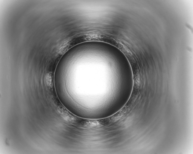 X0000093760715200710301144