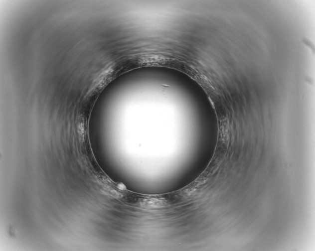 X0000093760716200710301144