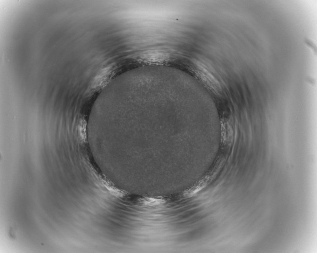 X0000093760718200710301144