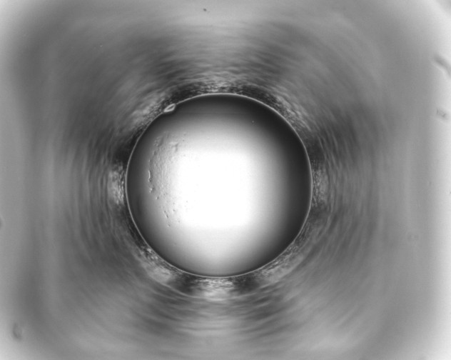 X0000093760719200710301144