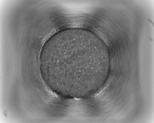 X0000093760721200710301144