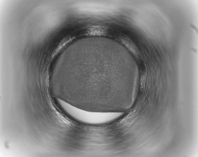 X0000093760722200710301144