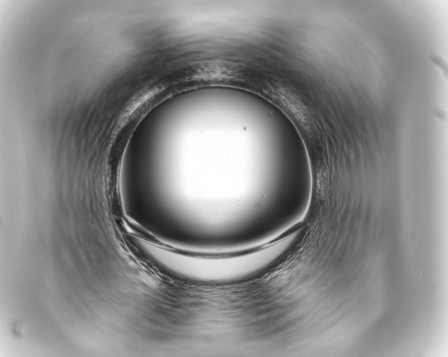 X0000093760724200710301144