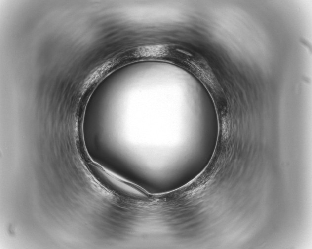 X0000093760725200710301144