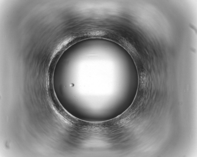 X0000093760726200710301144