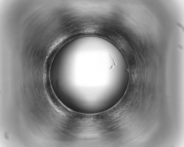 X0000093760728200710301144