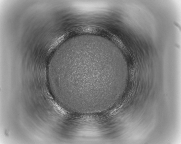 X0000093760729200710301144