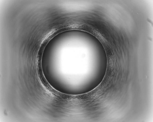 X0000093760730200710301144