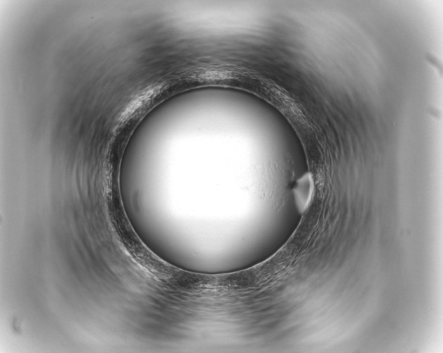 X0000093760732200710301144