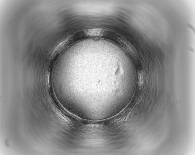 X0000093760733200710301144