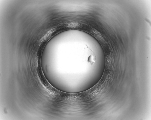 X0000093760734200710301144