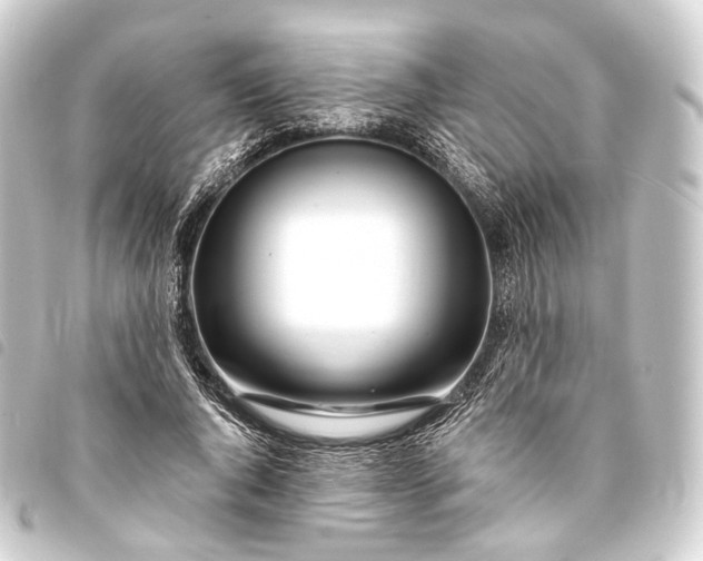 X0000093760736200710301144