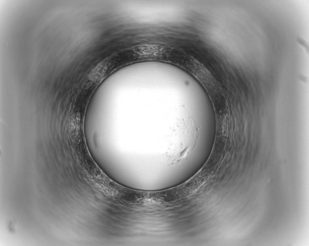 X0000093760737200710301144