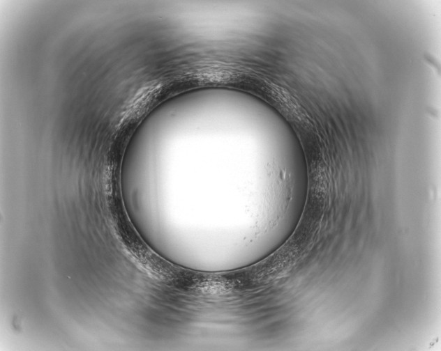 X0000093760738200710301144