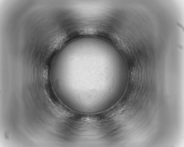 X0000093760739200710301144