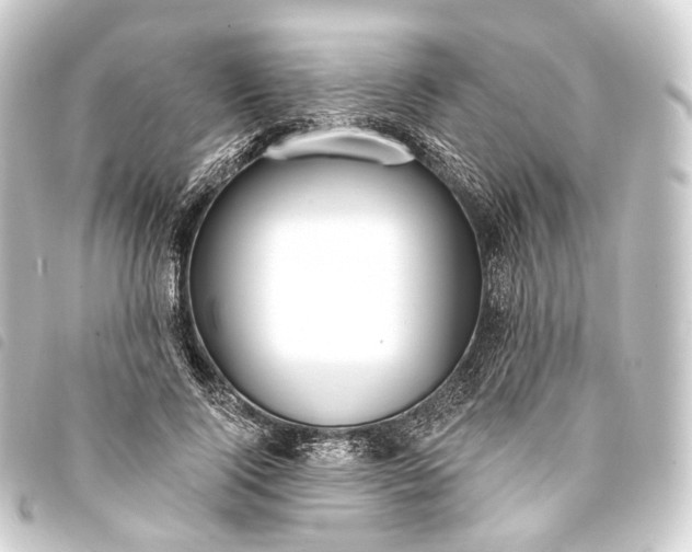 X0000093760740200710301144