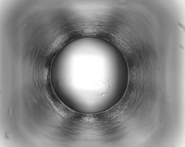 X0000093760742200710301144